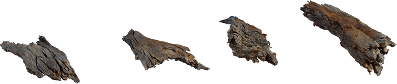 Bark Debris 01