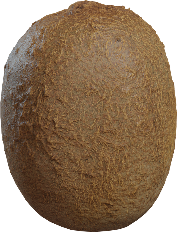 Food Kiwi 01