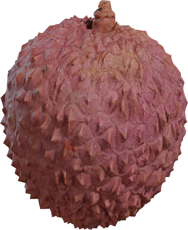 Food Lychee 01