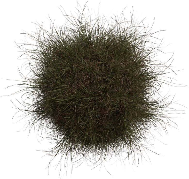 Grass Medium 02