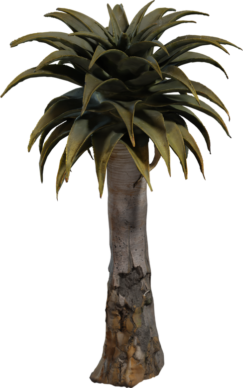 Quiver Tree 02