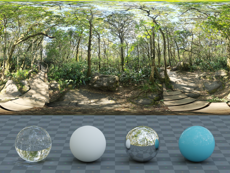 Rainforest Trail